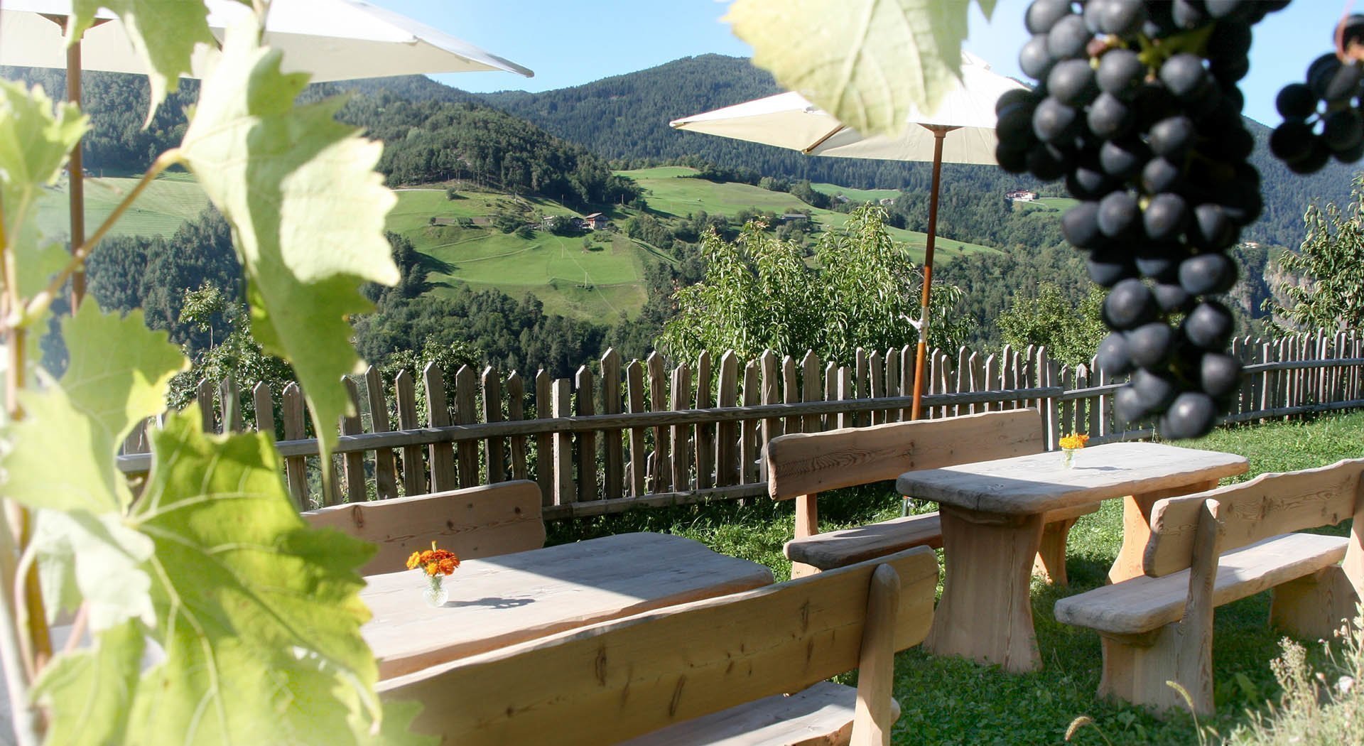 Buschenschank Südtirol Fronthof in Völs am Schlern