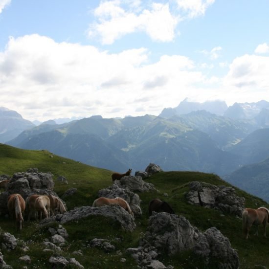 Impressioni dal Fronthof a Fiè allo Sciliar