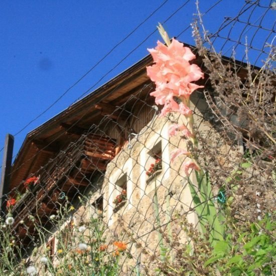 Impressionen vom Fronthof in Völs am Schlern