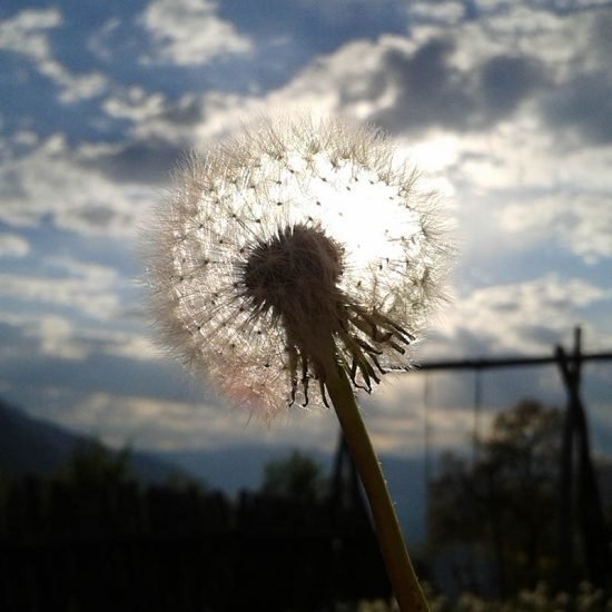 Impressioni dal Fronthof a Fiè allo Sciliar