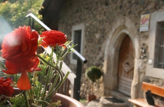 Impressionen vom Fronthof in Südtirol