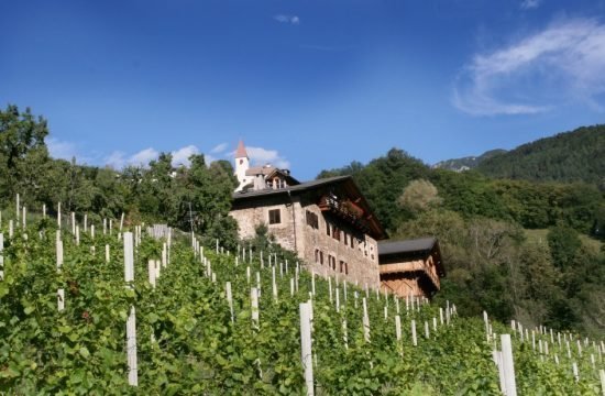 Impressionen vom Fronthof in Südtirol