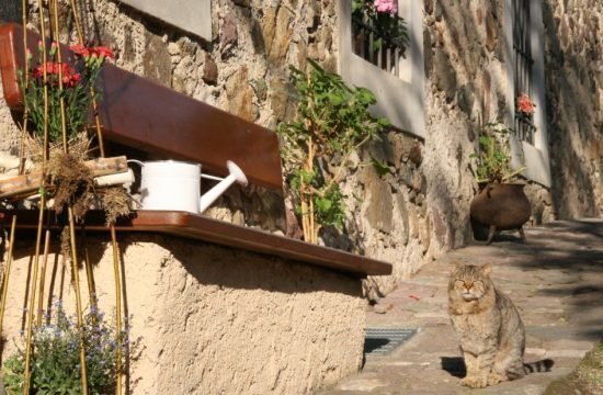 Impressionen vom Fronthof in Südtirol